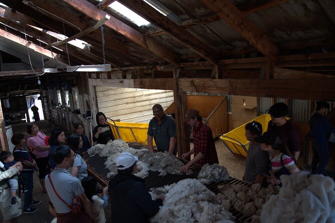 Mt. Hay Farm Experience Genuine Country Farming(Carbon Positive) - Is $61.44 good value?