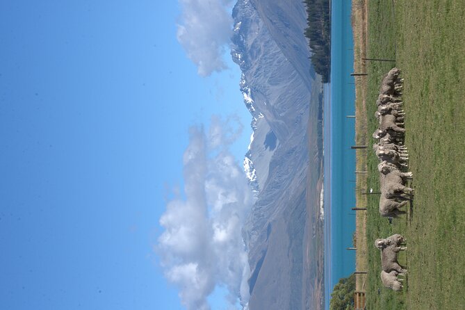 Mt. Hay Farm Experience Genuine Country Farming(Carbon Positive) - Weather and timing can shape the experience
