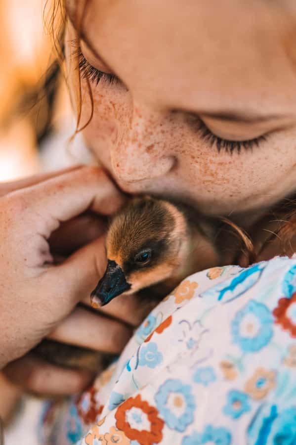 Mutchilba: Farm Animal Feeding - Meeting Gidget, Remy, and the farm animals