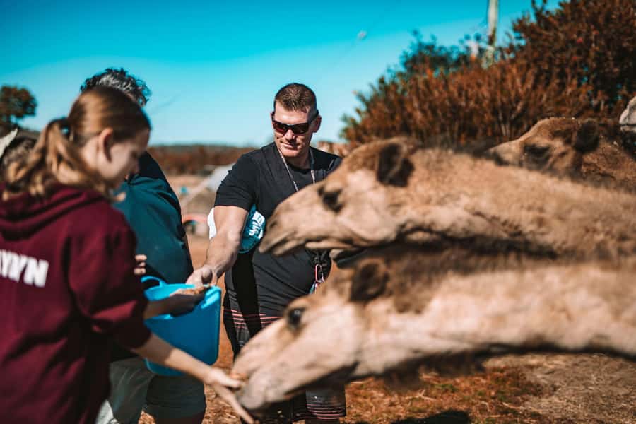 Mutchilba: Farm Animal Feeding - A good fit for young children and grown-up animal fans