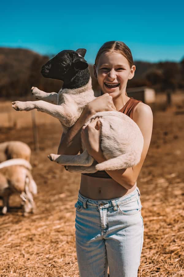 Mutchilba: Farm Animal Feeding - A true farm visit, not a staged animal show