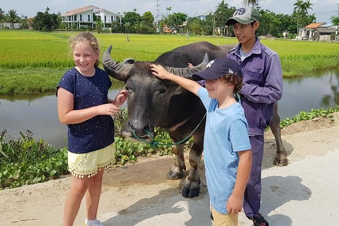MY SON Tour & Hoi An Countryside with Basket Boat, Buffalo Ride,Farming Activity - Is $99 a fair price?