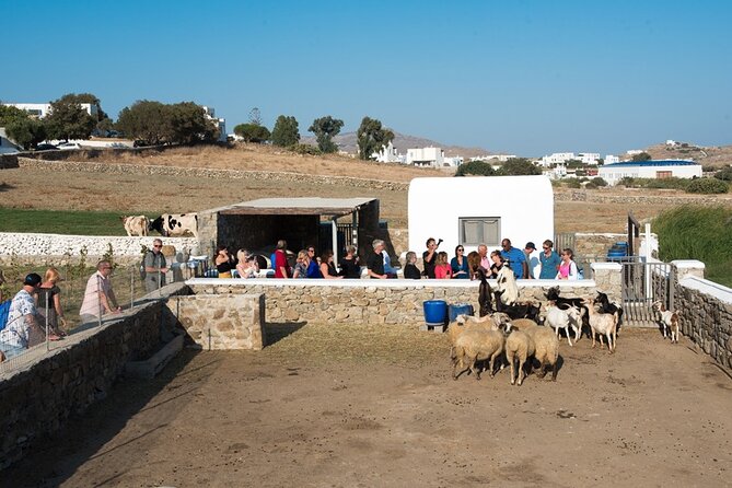 Mykonian Farm Entrance Ticket - Key points at a glance