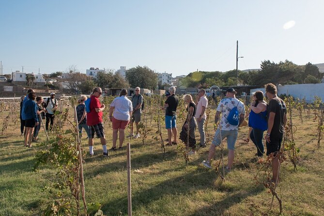 Mykonian Farm Entrance Ticket - Finding your way there and planning your time