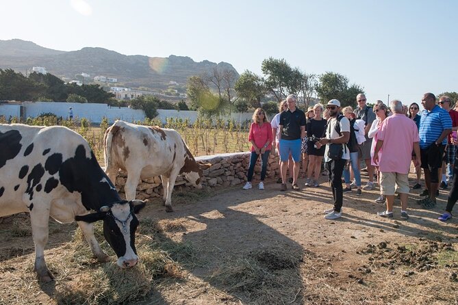 Mykonian Farm Entrance Ticket - Meeting the animals and seeing farm life