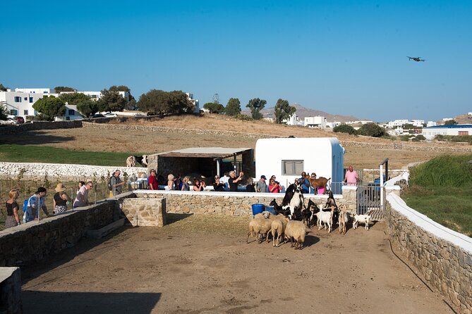 Mykonian Farm Experience - Key things to know before booking