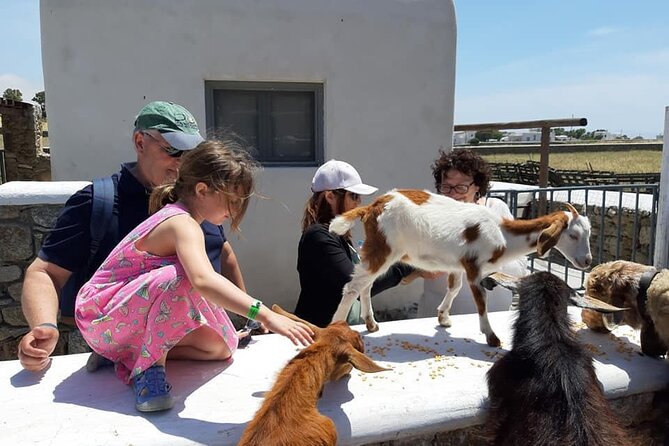 Mykonian Farm Experience - What happens during the 30 to 45 minute farm tour
