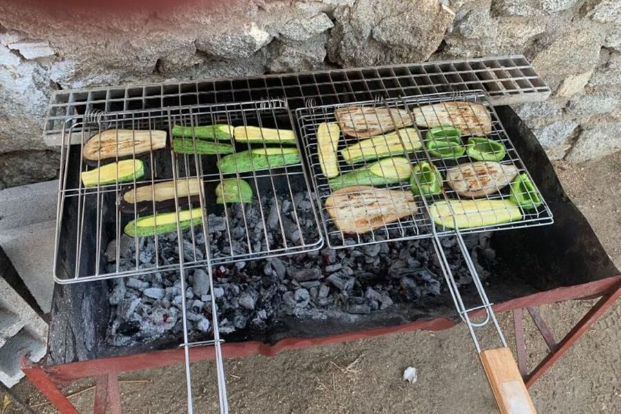 Mykonos: Barbecue at a Mykonian Farm - Welcome treats, raki, and the story of farm life