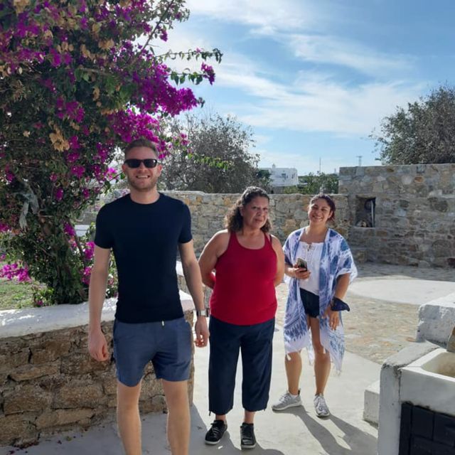 Mykonos: Farm, Ano Mera Village, and Beaches Guided Tour - The final panoramic photo stop
