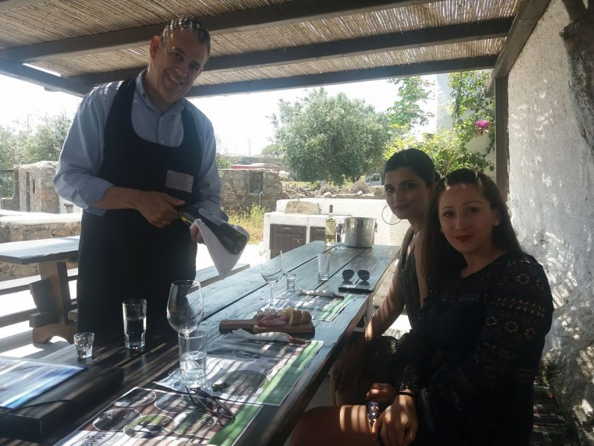 Mykonos: Wine Tasting at a Mykonian Farm - The road from Hora to the farm