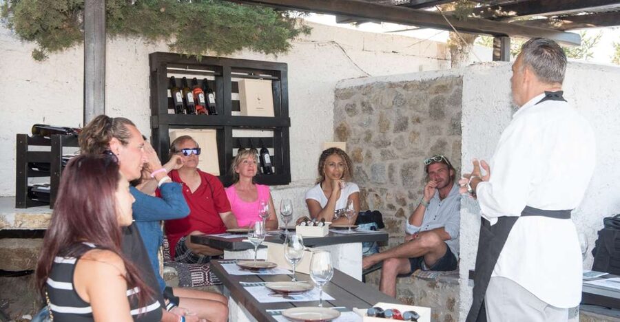 Mykonos: Wine Tasting at a Mykonian Farm - The guide can shape the whole outing