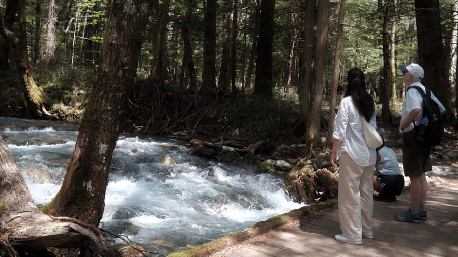 Nagano Autumn special: Kamikochi & Wasabi Farm & Winery - Should You Book This Nagano Autumn Tour?