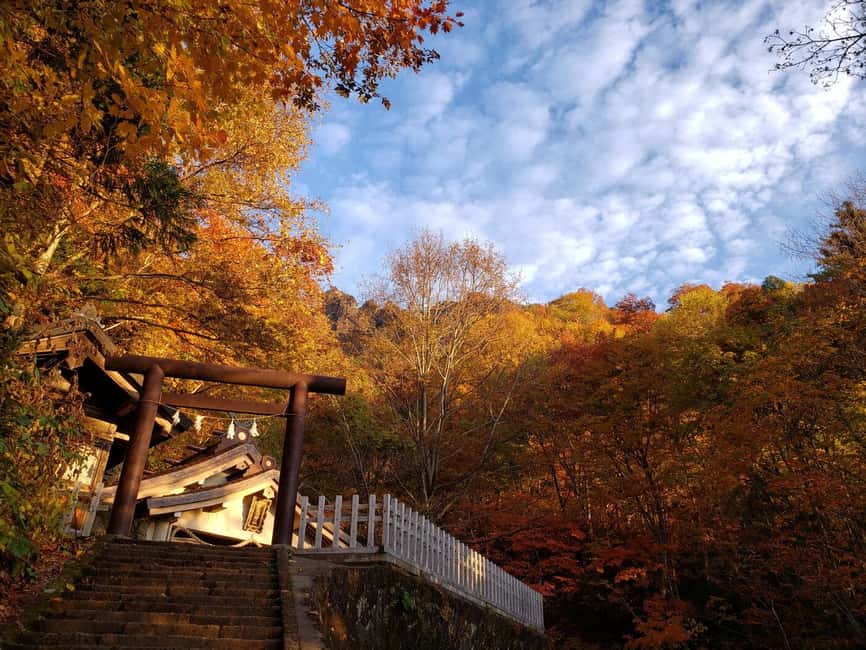 Nagano: Togakushi Shrine of 1400 Years & Farm-to-Table Lunch - Should You Book This Togakushi Experience?