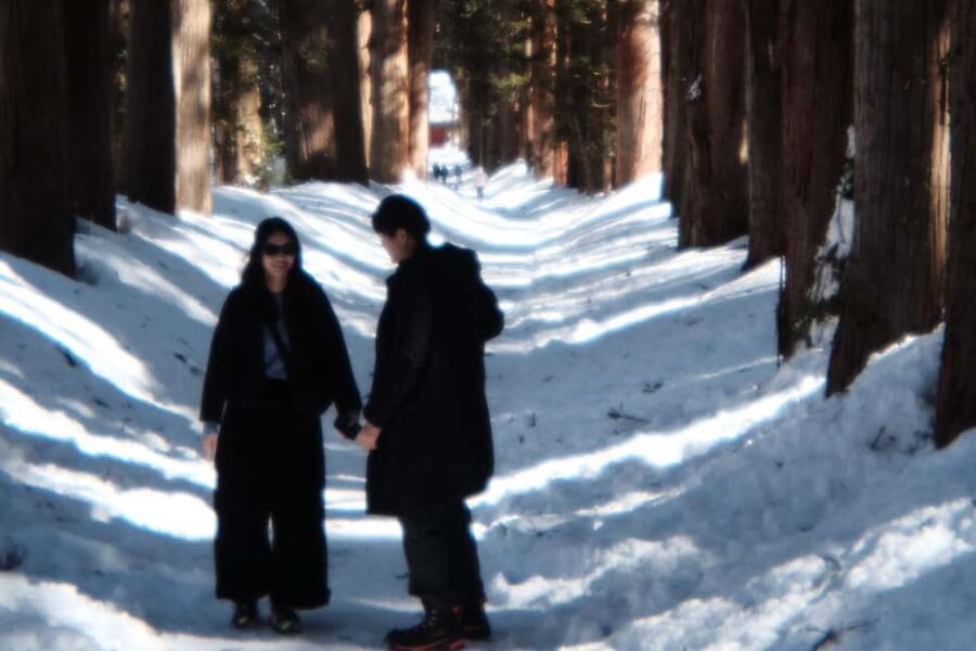 Nagano: Togakushi Shrine of 1400 Years & Farm-to-Table Lunch - The Cedar Avenue and Sacred Shrine Paths