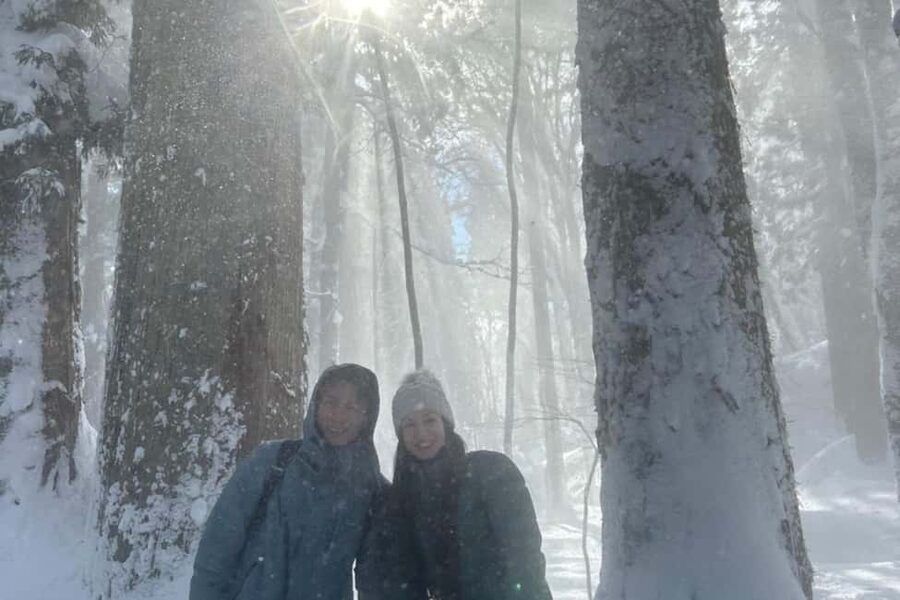 Nagano: Togakushi Shrine of 1400 Years & Farm-to-Table Lunch - Who Will Enjoy This Private Togakushi Day?
