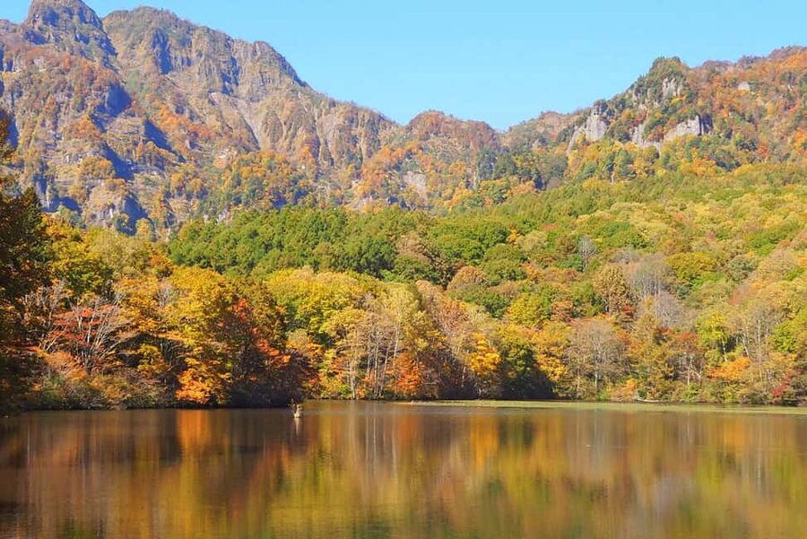 Nagano: Togakushi Shrine of 1400 Years & Farm-to-Table Lunch - What to Bring for the Forest Walk