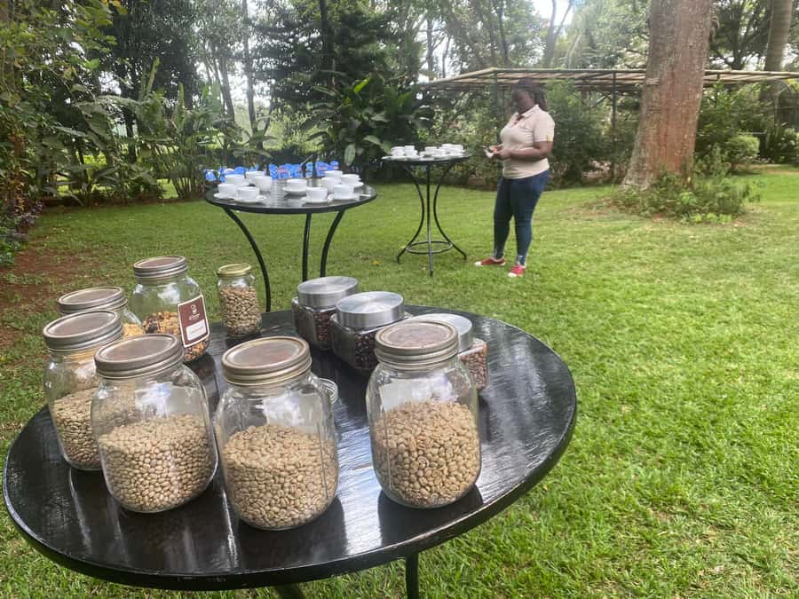 Nairobi: Coffee Factory and Farm Tour with Transfer - From Nairobi traffic to Fairview’s coffee fields