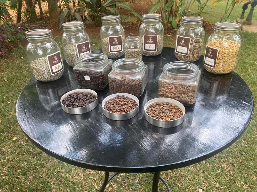 Nairobi: Coffee Factory and Farm Tour with Transfer - Following the bean through processing