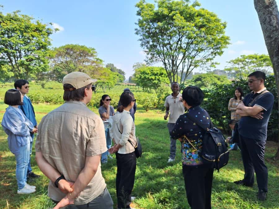 Nairobi: Coffee farm tour with pick up - Key points at a glance