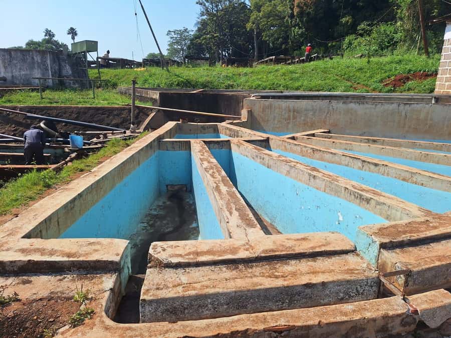 Nairobi: Coffee farm tour with pick up - Who will enjoy this Fairview coffee tour?