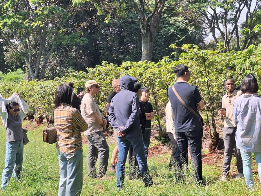 Nairobi: Coffee farm tour with pick up - Should you book the Nairobi coffee farm tour?