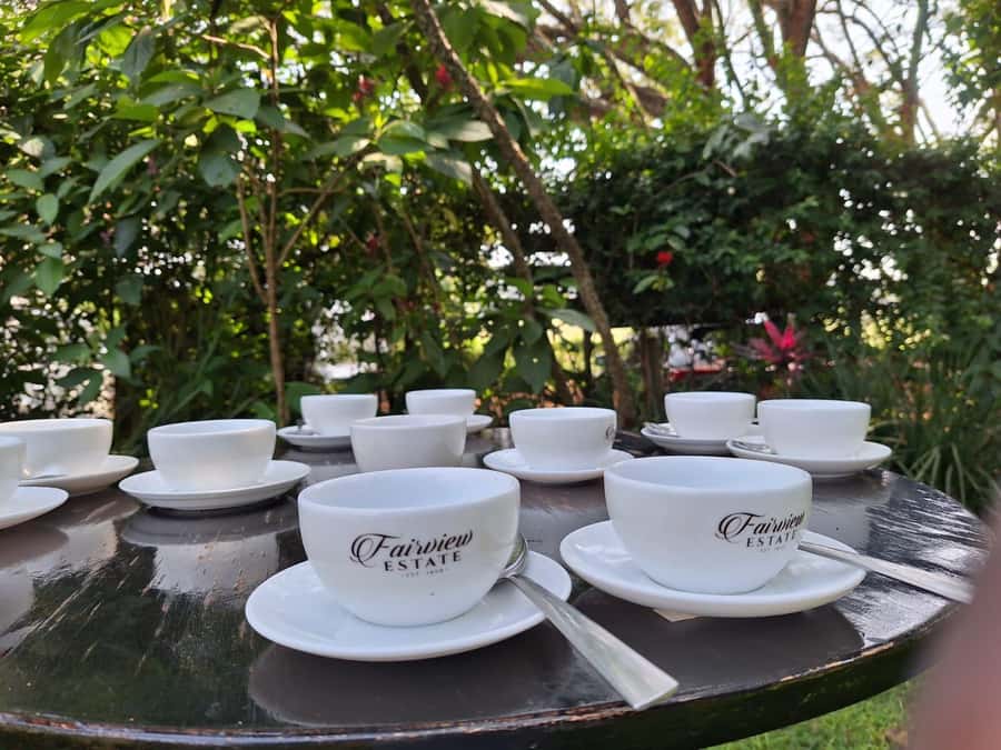 Nairobi: Coffee farm tour with pick up - Among the coffee trees with a farm guide