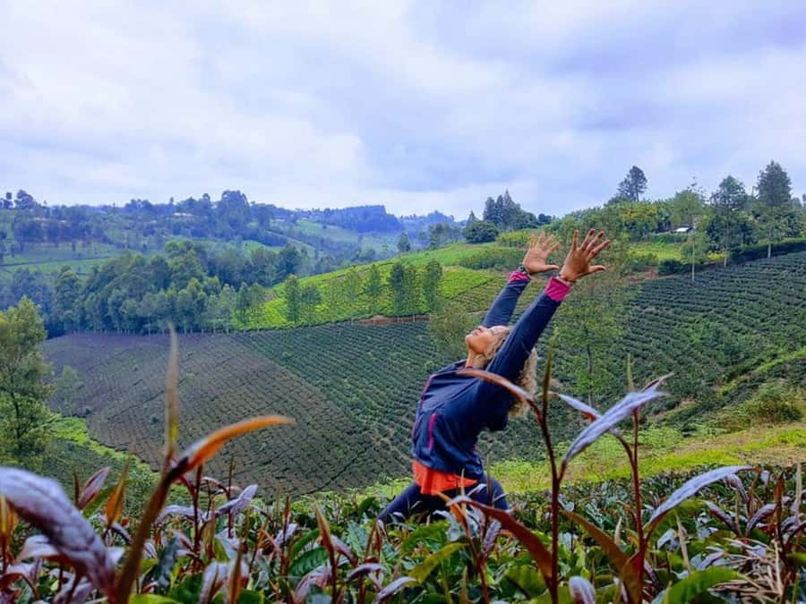 Nairobi: Purple Tea Farm Gatura Greens Day Trip - Who Should Book This Day Trip?