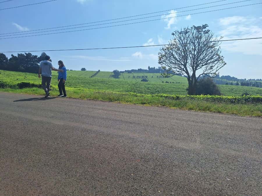 Nairobi: Tea Farm Day Trip with Lunch at kiambethu - The indigenous forest walk and waterfall stop