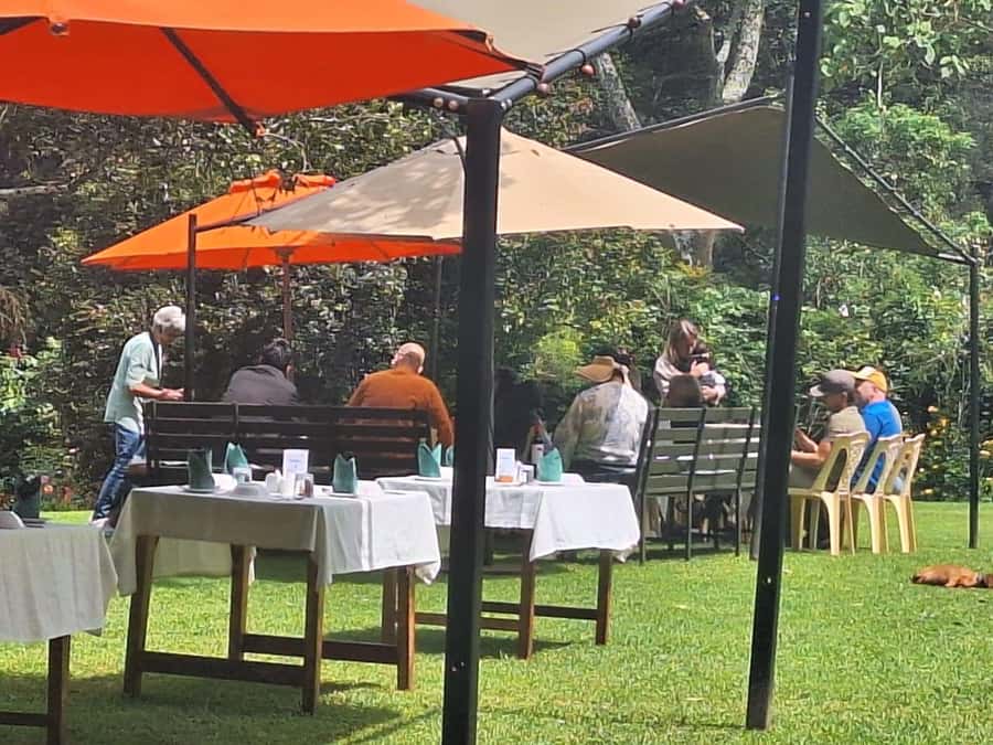 Nairobi: Tea Farm Day Trip with Lunch at kiambethu - The biggest issue: the price is not the full cost