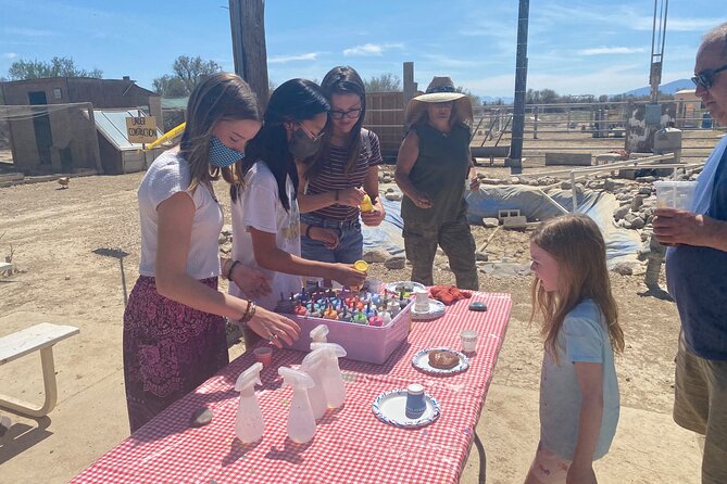 Nature Health Farms Alpaca Farm Petting Zoo Pahrump Death Valley - Meeting Alpacas in an Informal Pahrump Setting