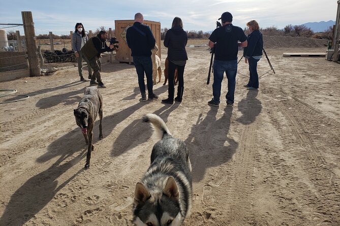 Nature Health Farms Alpaca Farm Petting Zoo Pahrump Death Valley - The Hemp Farm Question