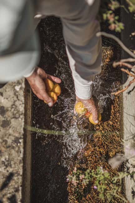 Naxos: Family Farm-table Cooking, Kouros Tour & Live Music - Lunch with wine, violin, and lute