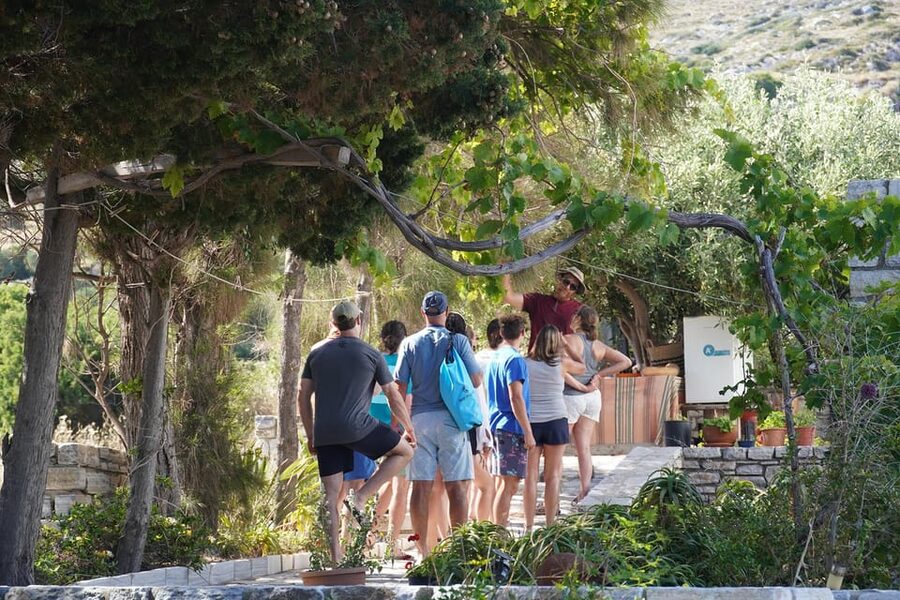 Naxos: Kampos Farm Sea Kayak Tour with Snorkeling & Picnic - The 12-kilometer coastal route