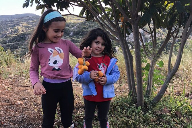 Naxos Perivoli Farm Experience & Wood-fire Cooking Class - Olive trees, Naxian potatoes, and seasonal produce