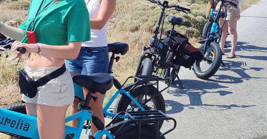 Naxos: Private E-Bike Tour with Farm Lunch - The stone olive press and oil tasting