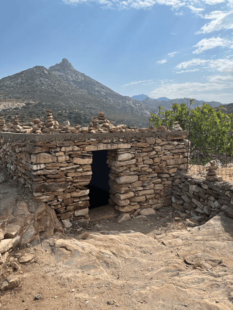 Naxos: Private E-Bike Tour with Farm Lunch - A working farm, not a staged animal stop