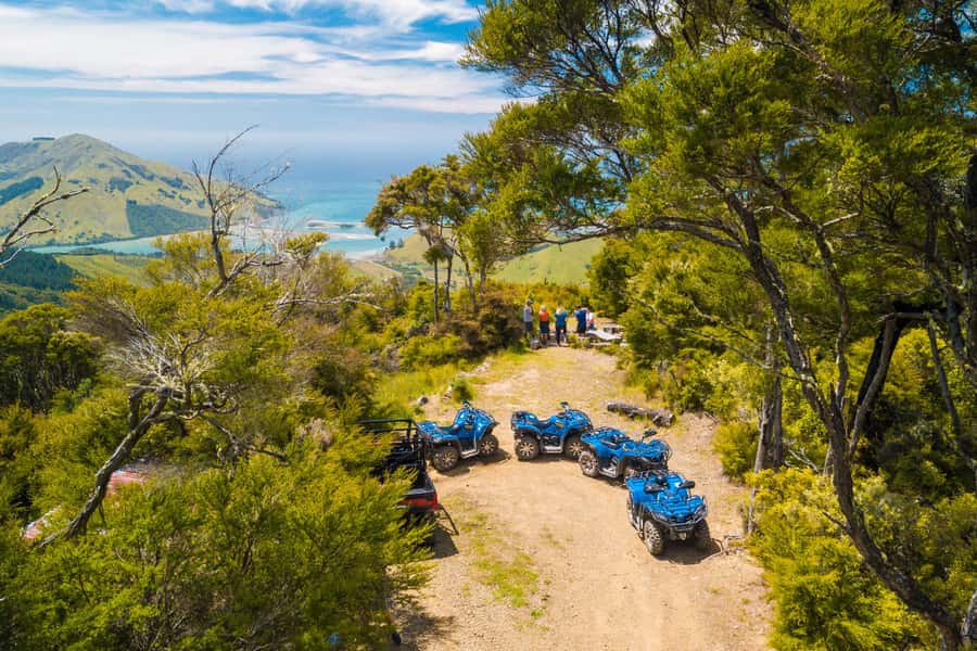 Nelson: Guided Quad Biking Tour Through Forest and Farmland - Key points at a glance