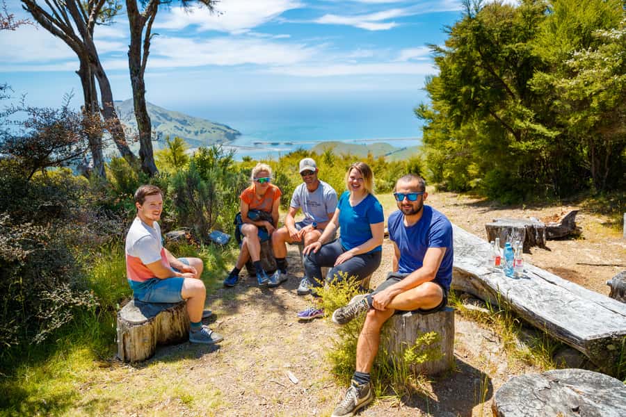 Nelson: Guided Quad Biking Tour Through Forest and Farmland - My verdict on the Farm Forest Ride and Bayview Circuit