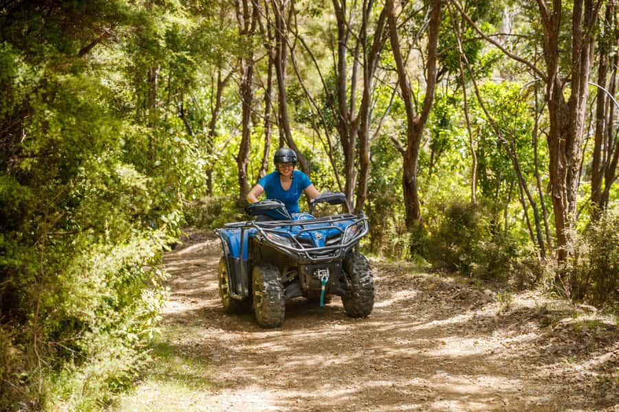 Nelson: Guided Quad Biking Tour Through Forest and Farmland - What makes the forest and farm tracks enjoyable