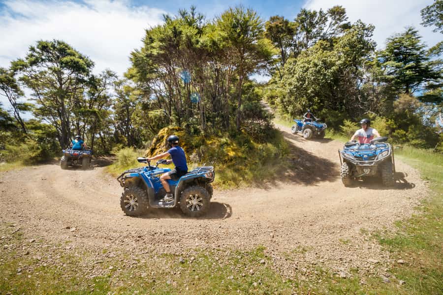 Nelson: Guided Quad Biking Tour Through Forest and Farmland - Cable Bay viewpoints and weather conditions