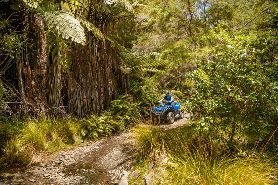 Nelson: Guided Quad Biking Tour Through Forest and Farmland - How the guides shape the experience