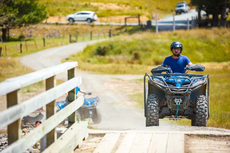 Nelson: Guided Quad Biking Tour Through Forest and Farmland - The 1.5-hour Farm Forest Ride