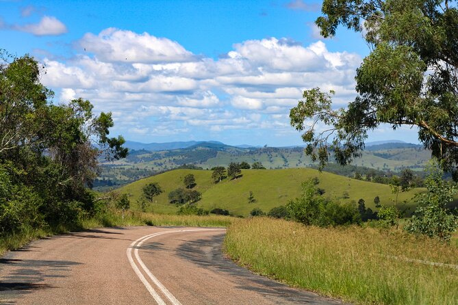 Newcastle: Country Towns River & Farm Tour with BBQ - Dungog and beer at Tinshed Brewery