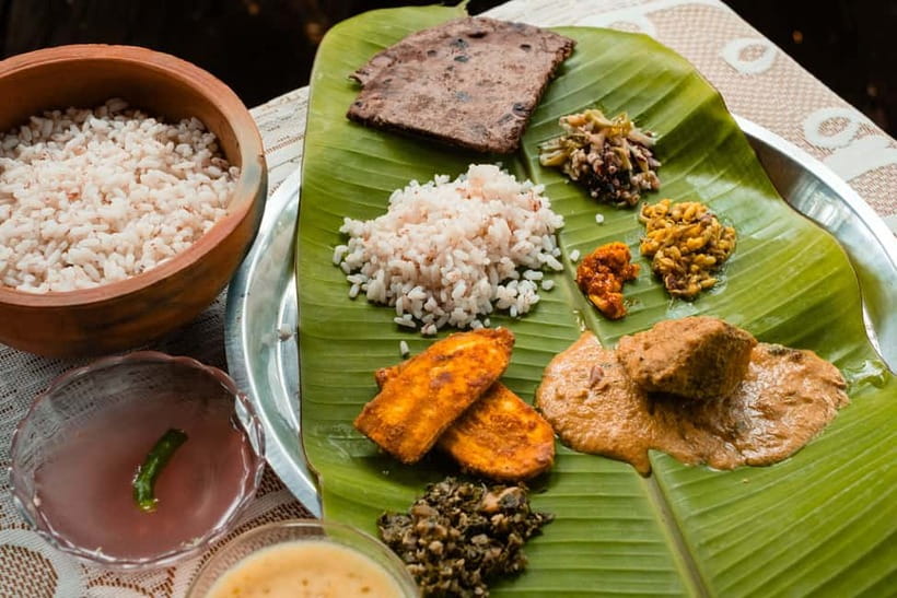 North Goa: Mulgao Village and Coconut Farming Experience - Key points to know before you book