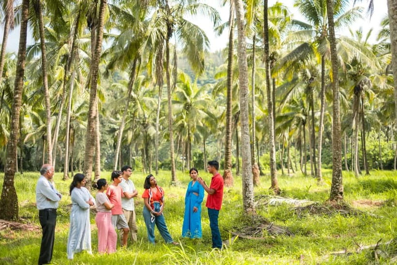 North Goa: Mulgao Village and Coconut Farming Experience - Why Mulgao makes a good change from Goa’s beaches