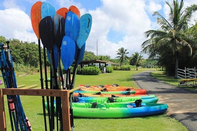 North Shore Farm: Anahulu River, Kayak-Sup, Turtles, Lunch & More - Why the included lunch changes the value