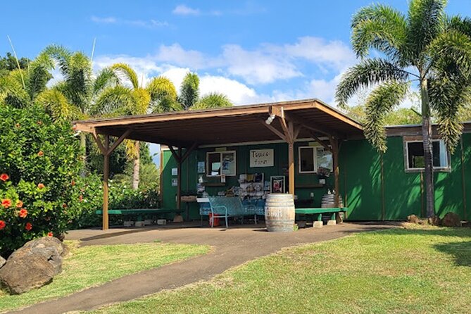 North Shore Farm: Anahulu River, Kayak-Sup, Turtles, Lunch & More - Practical details that can make the day easier