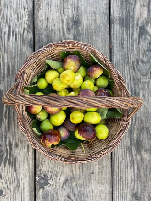 Noto: Farm to Fork in Sicily - Cooking Class in a Farm - Should you book the Noto farm cooking class?