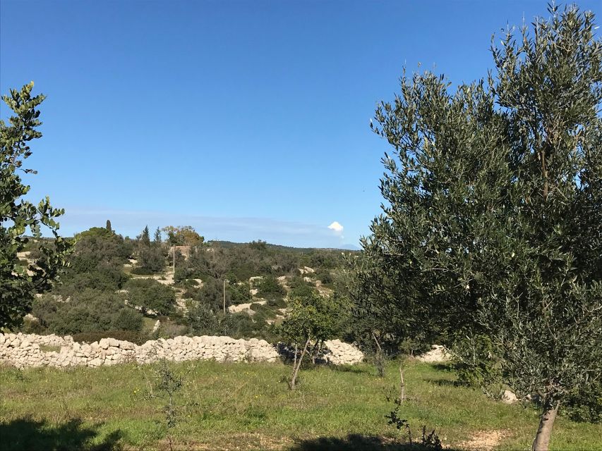 Noto: Farm to Fork in Sicily - Cooking Class in a Farm - A few practical booking tips