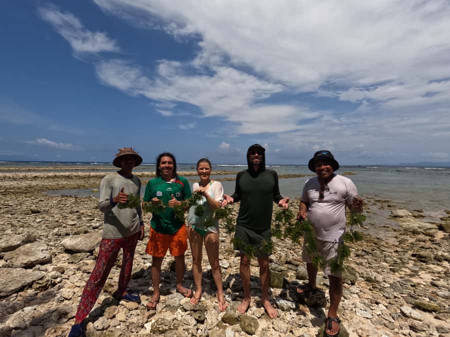 Nusa Penida: Ecotourism, Seaweed Farming & East Tour - Atuh Beach, Diamond Beach, and the Treehouse